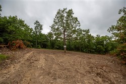 property photo for Eagles Nest Ranch Tract 79, 6.68 acres for sale in Pushmataha County, Oklahoma