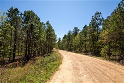 property photo for Eagles Nest Ranch Tract 8, 4.98 acres for sale in Pushmataha County, Oklahoma