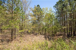 property photo for Eagles Nest Ranch Tract 8, 4.98 acres for sale in Pushmataha County, Oklahoma