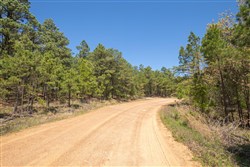 property photo for Eagles Nest Ranch Tract 8, 4.98 acres for sale in Pushmataha County, Oklahoma