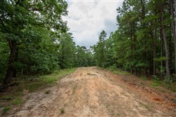 property photo for Eagles Nest Ranch Tract 80, 6.59 acres for sale in Pushmataha County, Oklahoma