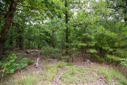 property photo for Eagles Nest Ranch Tract 80, 6.59 acres for sale in Pushmataha County, Oklahoma