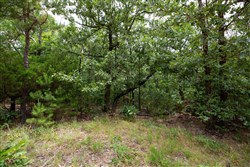 property photo for Eagles Nest Ranch Tract 80, 6.59 acres for sale in Pushmataha County, Oklahoma