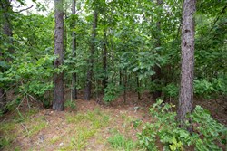 property photo for Eagles Nest Ranch Tract 80, 6.59 acres for sale in Pushmataha County, Oklahoma