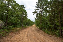 property photo for Eagles Nest Ranch Tract 81, 6.5 acres for sale in Pushmataha County, Oklahoma
