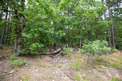 property photo for Eagles Nest Ranch Tract 81, 6.5 acres for sale in Pushmataha County, Oklahoma