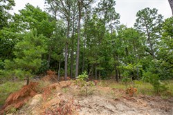 property photo for Eagles Nest Ranch Tract 81, 6.5 acres for sale in Pushmataha County, Oklahoma
