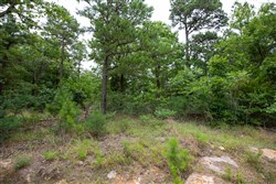 property photo for Eagles Nest Ranch Tract 81, 6.5 acres for sale in Pushmataha County, Oklahoma