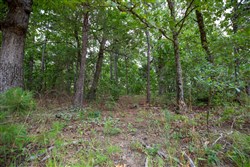property photo for Eagles Nest Ranch Tract 81, 6.5 acres for sale in Pushmataha County, Oklahoma