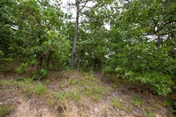 property photo for Eagles Nest Ranch Tract 81, 6.5 acres for sale in Pushmataha County, Oklahoma