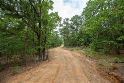 property photo for Eagles Nest Ranch Tract 82, 7.19 acres for sale in Pushmataha County, Oklahoma