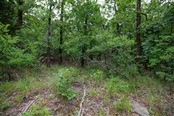 property photo for Eagles Nest Ranch Tract 82, 7.19 acres for sale in Pushmataha County, Oklahoma