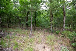 property photo for Eagles Nest Ranch Tract 82, 7.19 acres for sale in Pushmataha County, Oklahoma
