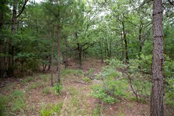 property photo for Eagles Nest Ranch Tract 82, 7.19 acres for sale in Pushmataha County, Oklahoma