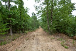 property photo for Eagles Nest Ranch Tract 82, 7.19 acres for sale in Pushmataha County, Oklahoma