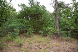 property photo for Eagles Nest Ranch Tract 82, 7.19 acres for sale in Pushmataha County, Oklahoma