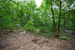 property photo for Eagles Nest Ranch Tract 83, 7.94 acres for sale in Pushmataha County, Oklahoma