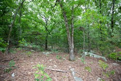 property photo for Eagles Nest Ranch Tract 83, 7.94 acres for sale in Pushmataha County, Oklahoma
