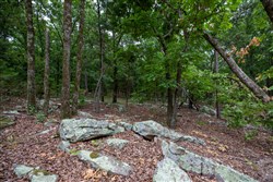 property photo for Eagles Nest Ranch Tract 83, 7.94 acres for sale in Pushmataha County, Oklahoma