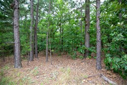 Eagles Nest Ranch Tract 84