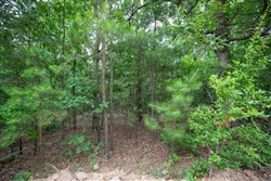 Eagles Nest Ranch Tract 84