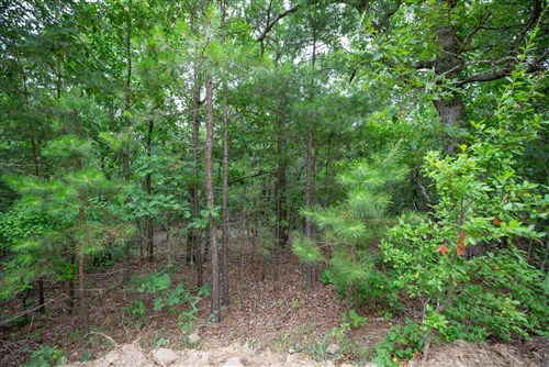 Eagles Nest Ranch Tract 84