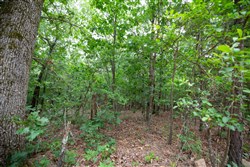 Eagles Nest Ranch Tract 84