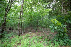 Eagles Nest Ranch Tract 84