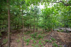 Eagles Nest Ranch Tract 84