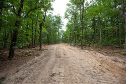 property photo for Eagles Nest Ranch Tract 85, 13.82 acres for sale in Pushmataha County, Oklahoma