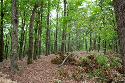 property photo for Eagles Nest Ranch Tract 85, 13.82 acres for sale in Pushmataha County, Oklahoma