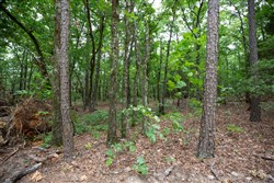 property photo for Eagles Nest Ranch Tract 85, 13.82 acres for sale in Pushmataha County, Oklahoma
