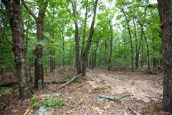 property photo for Eagles Nest Ranch Tract 85, 13.82 acres for sale in Pushmataha County, Oklahoma