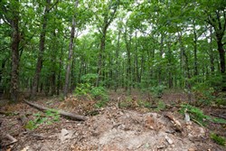 property photo for Eagles Nest Ranch Tract 85, 13.82 acres for sale in Pushmataha County, Oklahoma