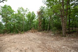 property photo for Eagles Nest Ranch Tract 86, 11.04 acres for sale in Pushmataha County, Oklahoma