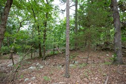 property photo for Eagles Nest Ranch Tract 86, 11.04 acres for sale in Pushmataha County, Oklahoma