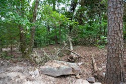 property photo for Eagles Nest Ranch Tract 86, 11.04 acres for sale in Pushmataha County, Oklahoma