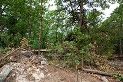 property photo for Eagles Nest Ranch Tract 86, 11.04 acres for sale in Pushmataha County, Oklahoma