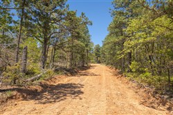 property photo for Eagles Nest Ranch Tract 9, 9.9 acres for sale in Pushmataha County, Oklahoma