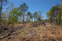 property photo for Eagles Nest Ranch Tract 9, 9.9 acres for sale in Pushmataha County, Oklahoma