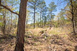 property photo for Eagles Nest Ranch Tract 9, 9.9 acres for sale in Pushmataha County, Oklahoma