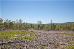 property photo for Eagles Nest Ranch Tract 9, 9.9 acres for sale in Pushmataha County, Oklahoma