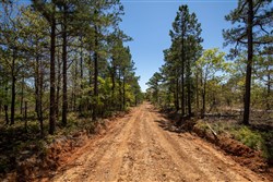 property photo for Eagles Nest Ranch Tract 9, 9.9 acres for sale in Pushmataha County, Oklahoma