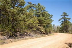 property photo for Eagles Nest Ranch Tract 9, 9.9 acres for sale in Pushmataha County, Oklahoma