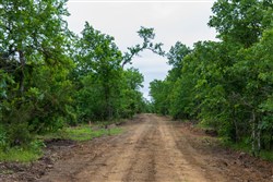 Falcon Crest Tract 10