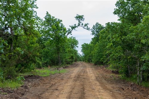 Falcon Crest Tract 10