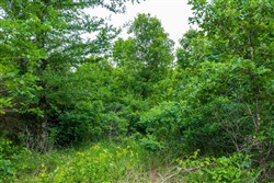 Falcon Crest Tract 10