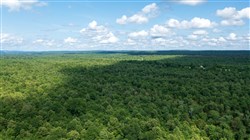 property photo for Falcon Crest Tract 11, 5.5 acres for sale in Pushmataha County, Oklahoma