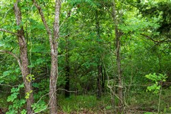 property photo for Falcon Crest Tract 11, 5.5 acres for sale in Pushmataha County, Oklahoma