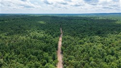 property photo for Falcon Crest Tract 11, 5.5 acres for sale in Pushmataha County, Oklahoma